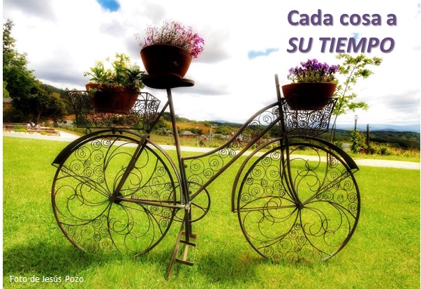 Cada cosa a SU TIEMPO