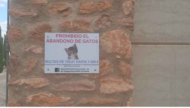 Revista Adiós