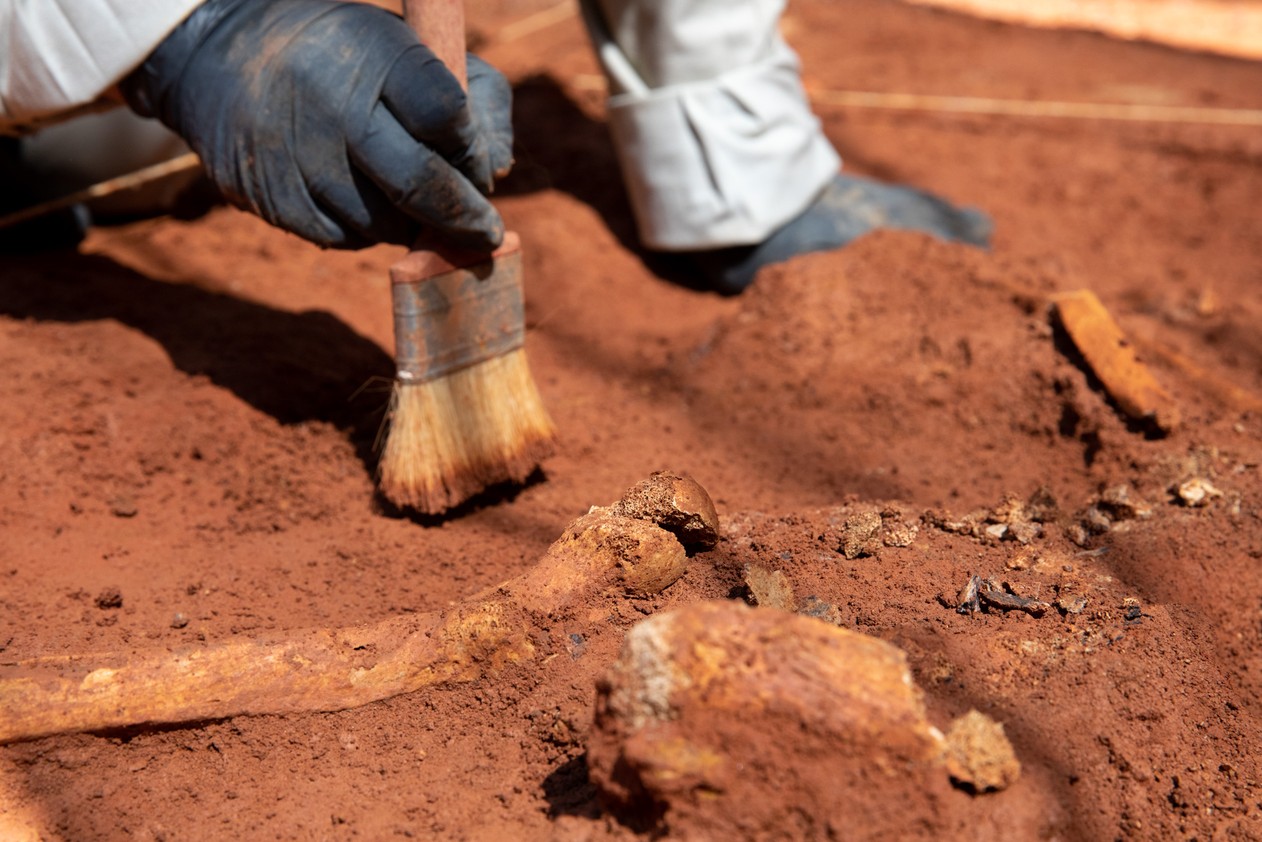 Arqueólogos encuentran en el centro de Sao Paulo (Brasil) el cementerio usado para enterrar a los marginados y los esclavos entre los siglos XVIII y XIX  