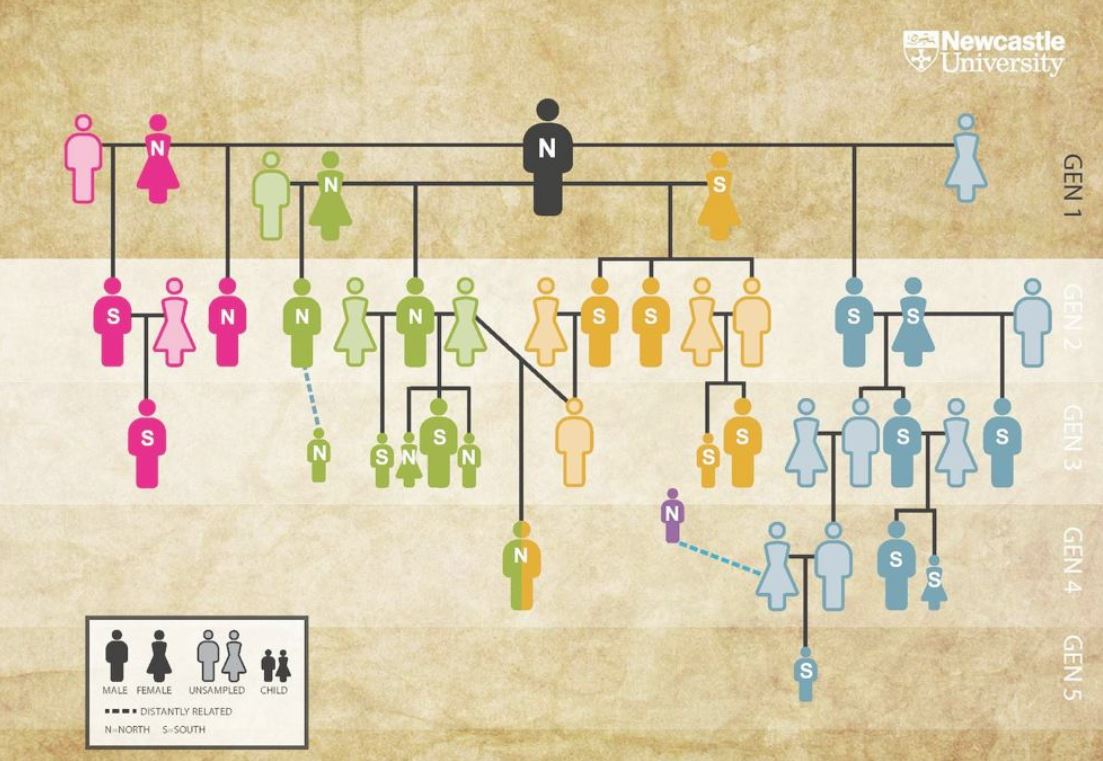 El ADN explica el árbol genealógico más antiguo, que revela adopciones, hijastros y poligamia