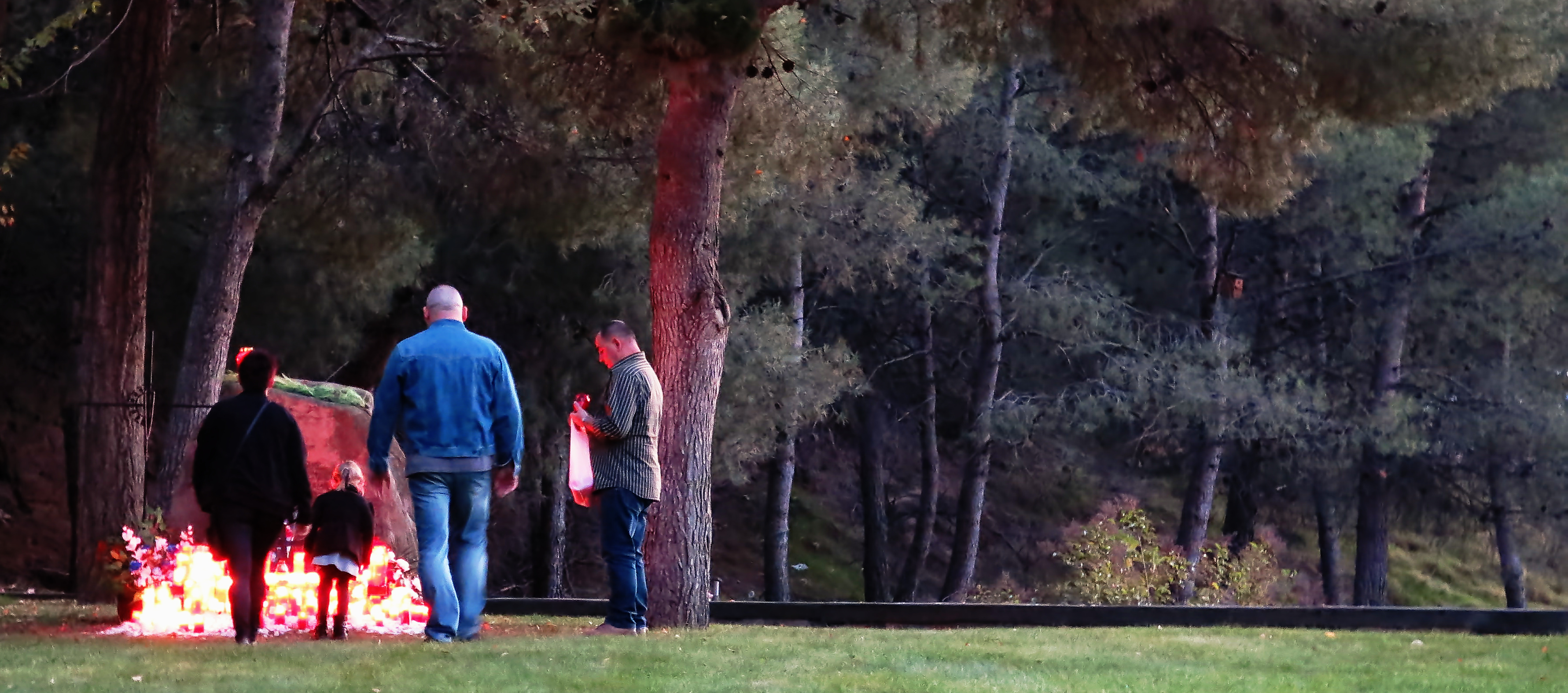 El Colegio de Psícólogos de Madrid pone en marcha un servicio de atención a familias de fallecidos