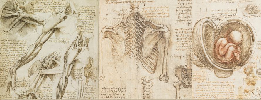 El Instituto de Salud Carlos III publica un mapa interactivo de mortalidad por enfermedades raras en España