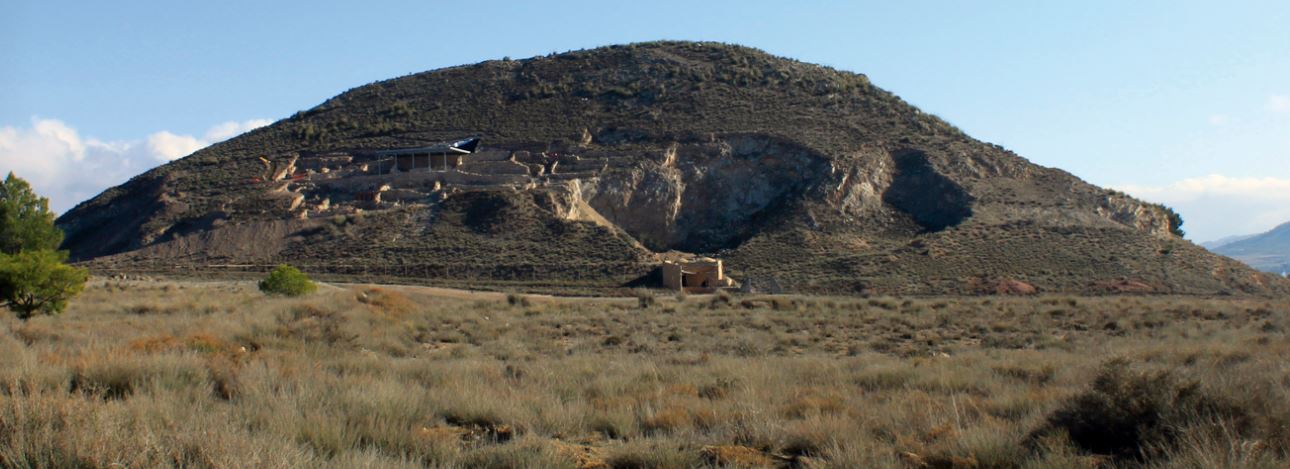 La importancia de una muestra de la hepatitis B del yacimiento de la Edad de Bronce de Cabezo Redondo de Villena (Alicante)