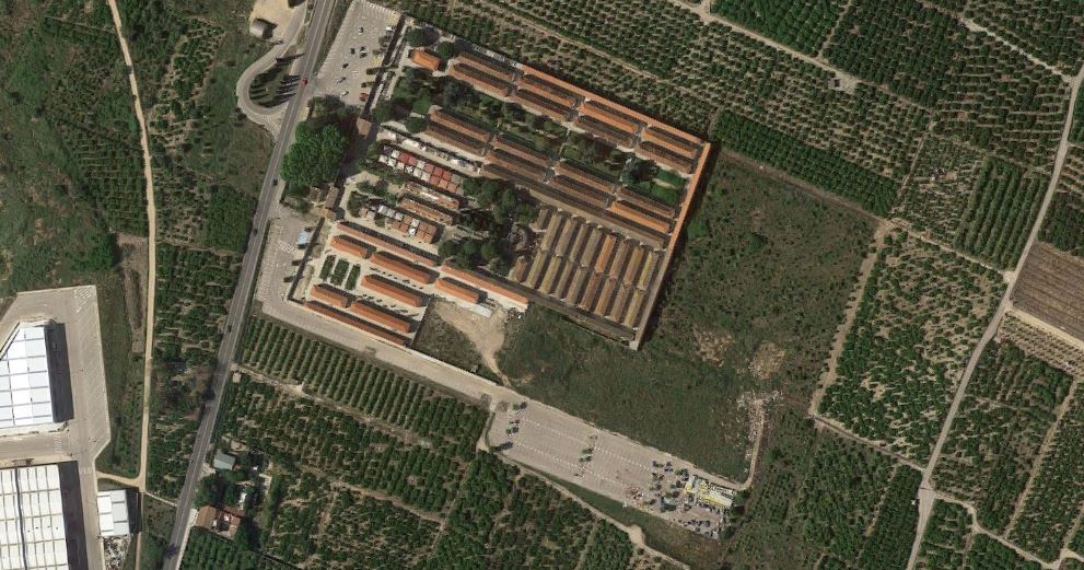 Comienza en el cementerio de Gandía la búsqueda con geo-radar de restos de 62 fusilados del franquismo
