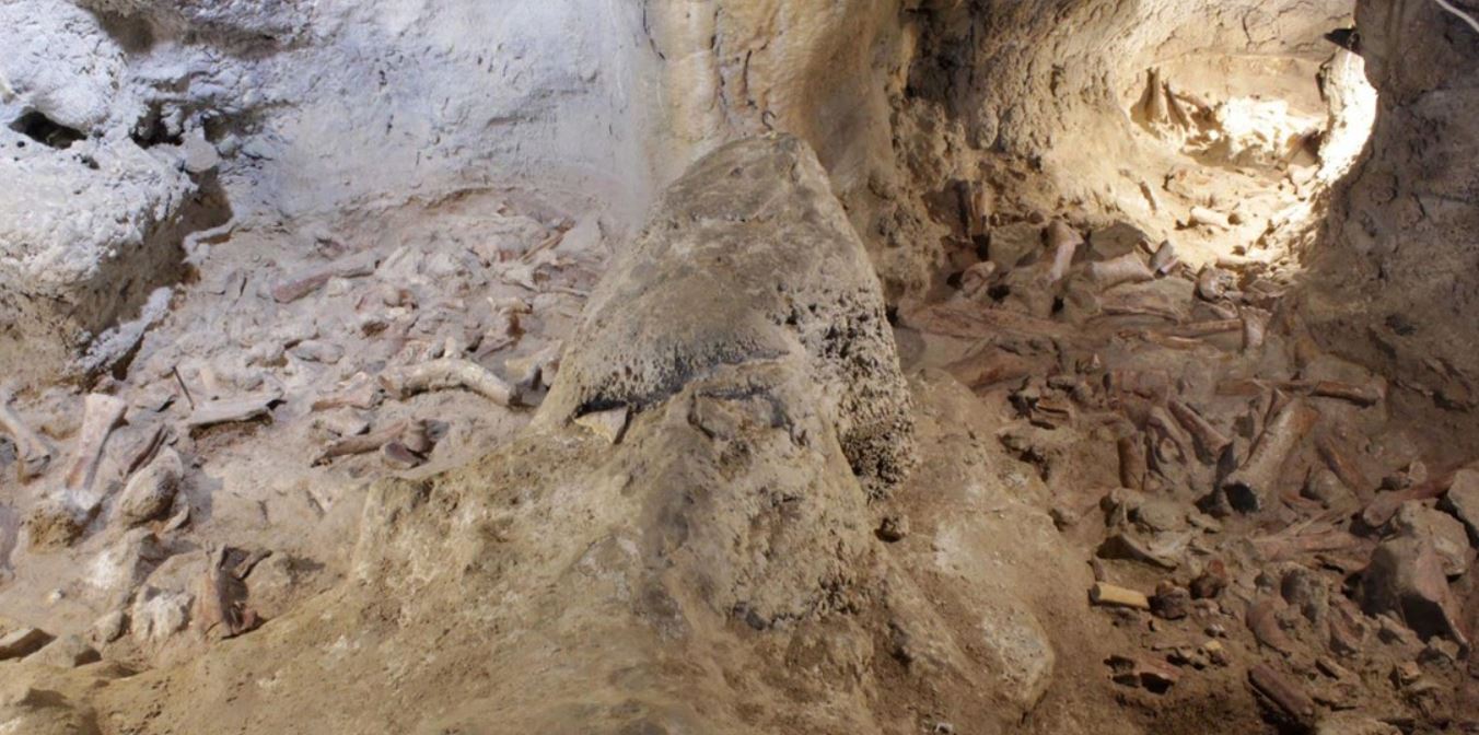 Califican de excepcional el hallazgo de restos de nueve neandertales en una cueva del centro de Italia
