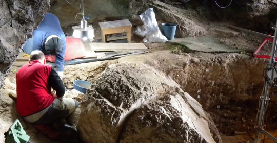Solo dos linajes genéticos del Paleolítico Superior sobrevivieron en el oeste y centro de Europa a la Edad Hielo