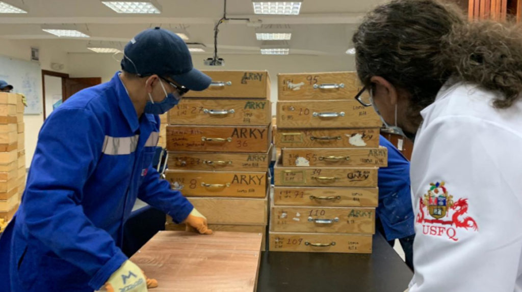 Ecuador recupera una importante colección arqueológica milenaria de la cultura Valdivia