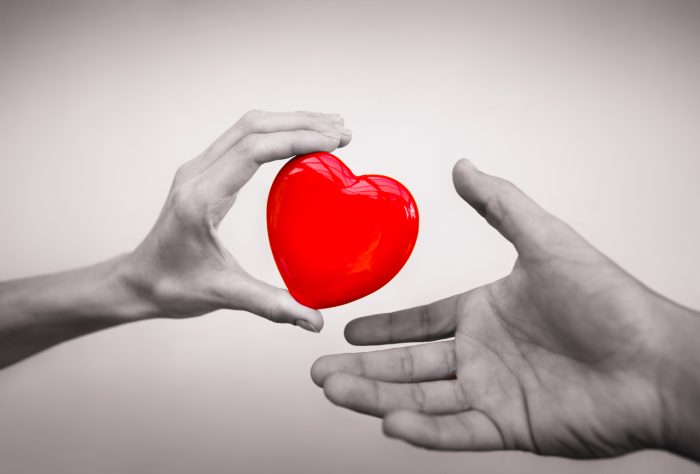 España sigue liderando la donación de órganos y aporta el 6 por ciento de los donantes del mundo