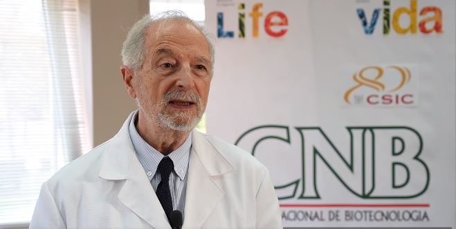 Pandemia. La ciencia se centra en el desarrollo de antivirales, búsqueda de anticuerpos y creación de vacunas
