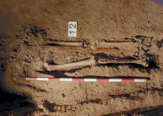 Un libro documenta el conjunto excepcional de sepulturas de caballeros de la nobleza medieval de Tudela (Navarra)