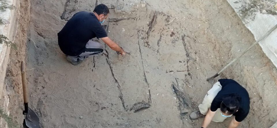 Cádiz inicia la exhumación de la última fosa común de su cementerio y en el de Guadalajara buscan a 26 fusilados en 1940