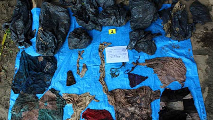 Localizan un segundo cementerio clandestino en Veracruz (México) con 166 cráneos