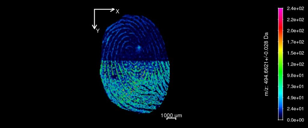 Investigadores de la Rovira i Virgili diseñan una nanosuperficie que extrae el mapa molecular de una huella dactilar