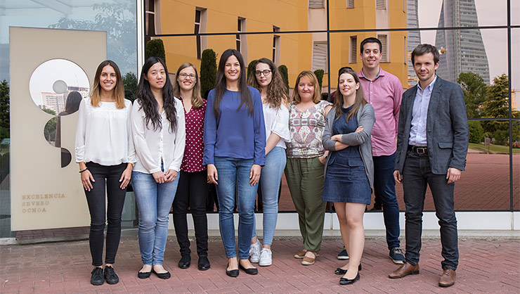 Investigadores españoles del CNIO reducen las metástasis cerebrales tanto en ratones como en pacientes
