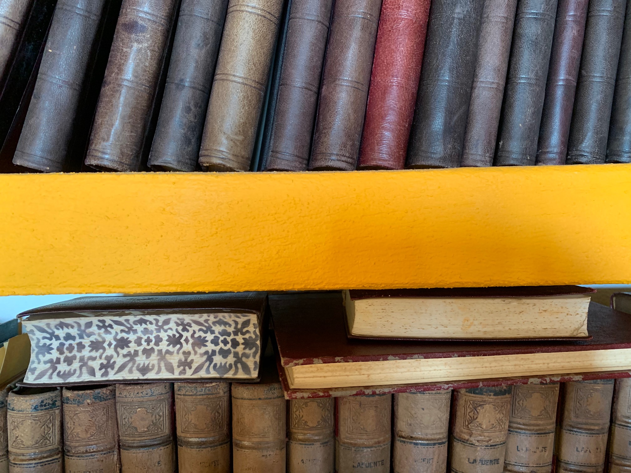 Esta es la novela negra que llega a las librerías este año