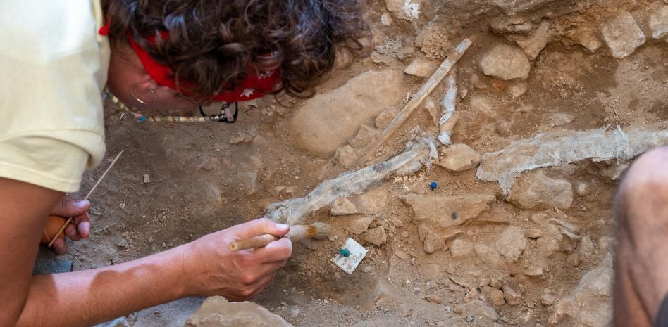 Linya, una Homo sapiens que vivió hace 14.000 años en el nordeste de la península Ibérica