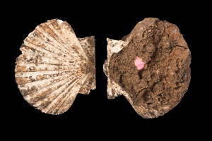 Una tumba en Mérida guardaba el estuche de maquillaje de la difunta de hace 2000 años