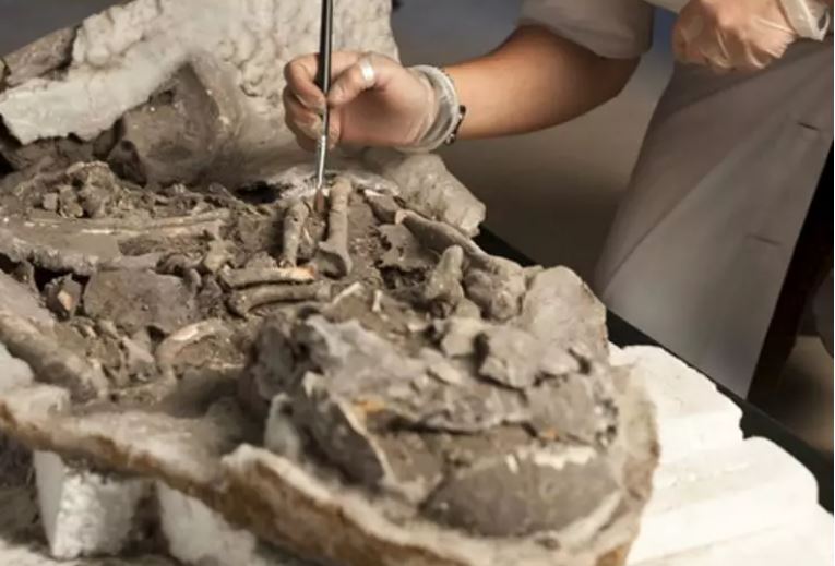 Hace 8000 años en parte de la Península ibérica se enterraban a los muertos tras desecarlos y momificarlos