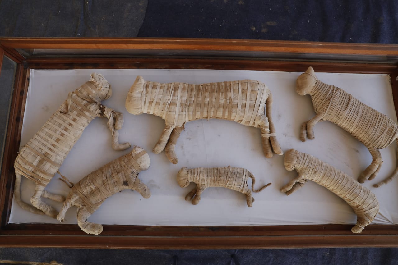 Egipto presenta momias de animales, entre ellas cachorros de león, en Saqqara