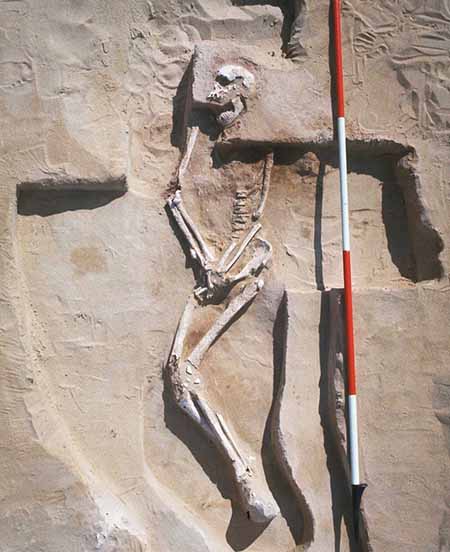 El hombre de Mungo, los restos humanos más antiguos de Australia, regresa a su casa