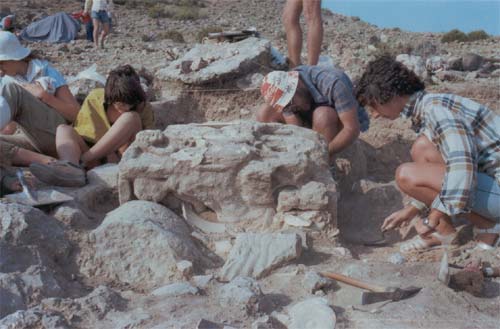 Una exposición sobre la necrópolis de ‘El Poblado’ de Jumilla explica el papel de la mujer en la sociedad ibérica prerromana