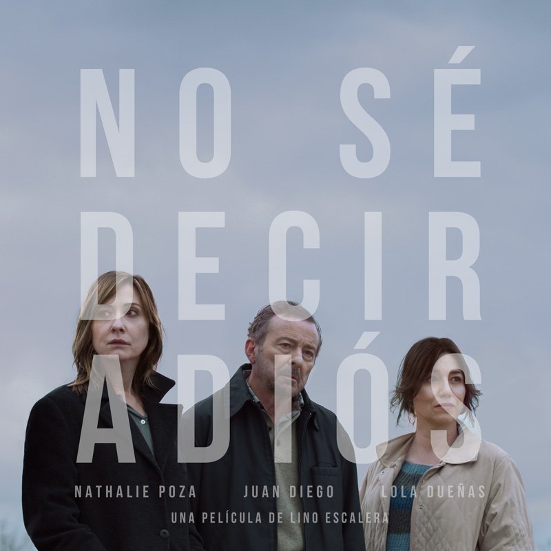 No sé decir adiós, otra película para reflexionar sobre la muerte y la familia