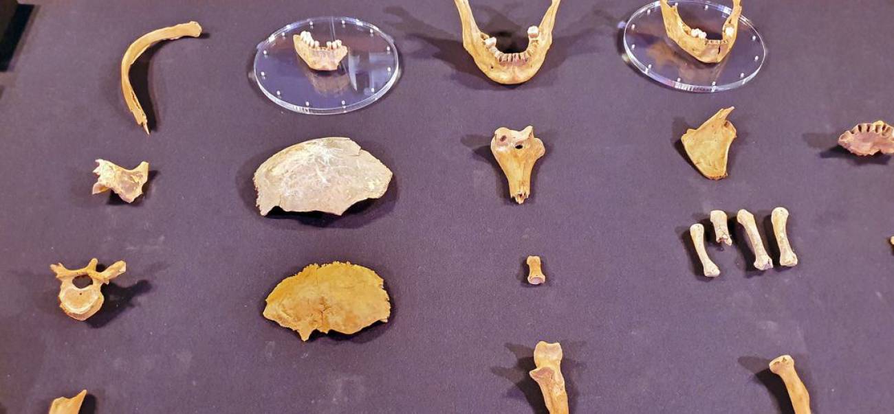 Aparecen restos de más de 3000 años en la Cueva necrópolis de Bedmar y Garcíez (Jaén)