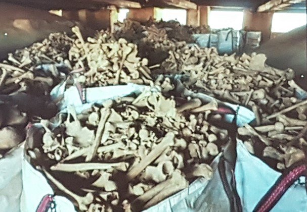 La restauración de una Iglesia de Valdepeñas encuentra restos óseos de entre cinco mil y seis mil personas