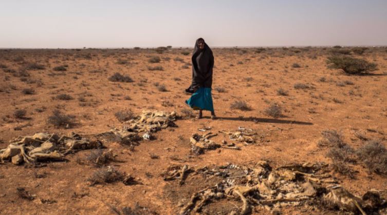 La ONU reclama ayuda urgente para millones de somalíes abocados al hambre y miles a la muerte