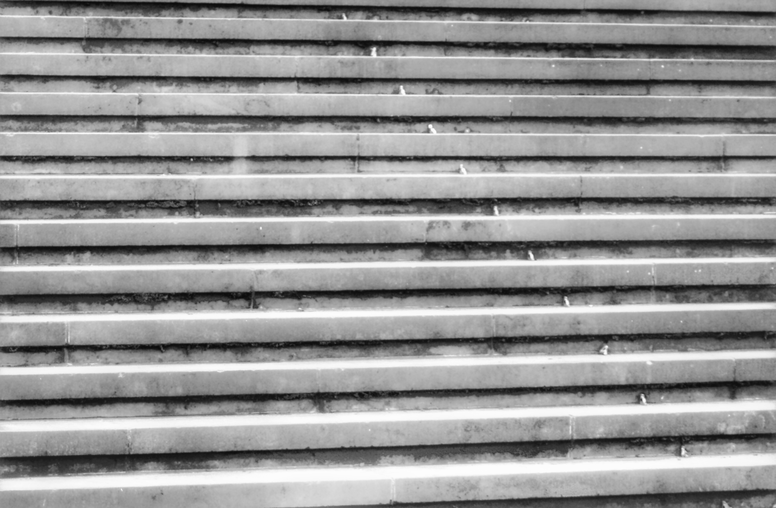 El suicidio sigue siendo en España la primera causa de muerte externa, con 3.679 fallecimiento en 2017, un 3,1 por ciento más que en 2016
