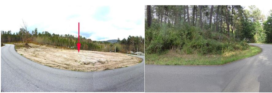 El Seprona confirma la destrucción de una tumba megalítica de seis mil años en Ourense para plantar pinos