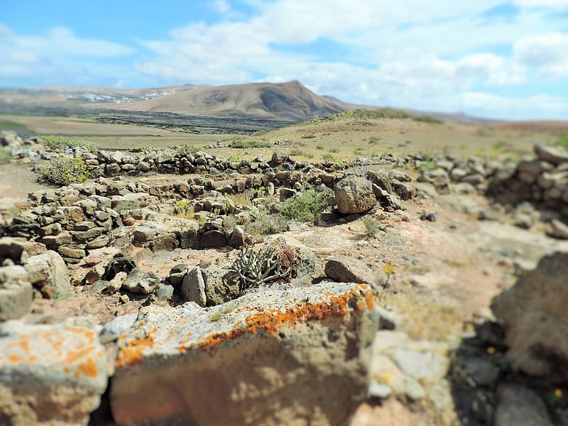 Arqueólogos recuperan los esqueletos de dos bebés del siglo VII en el yacimiento de Zonzamas, en Lanzarote