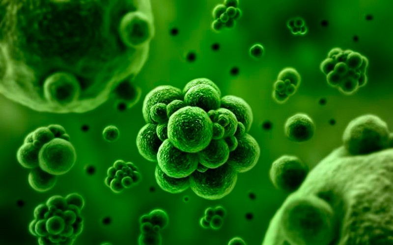 Las bacterias multirresistentes causan más de 35.000 muertes al año en España