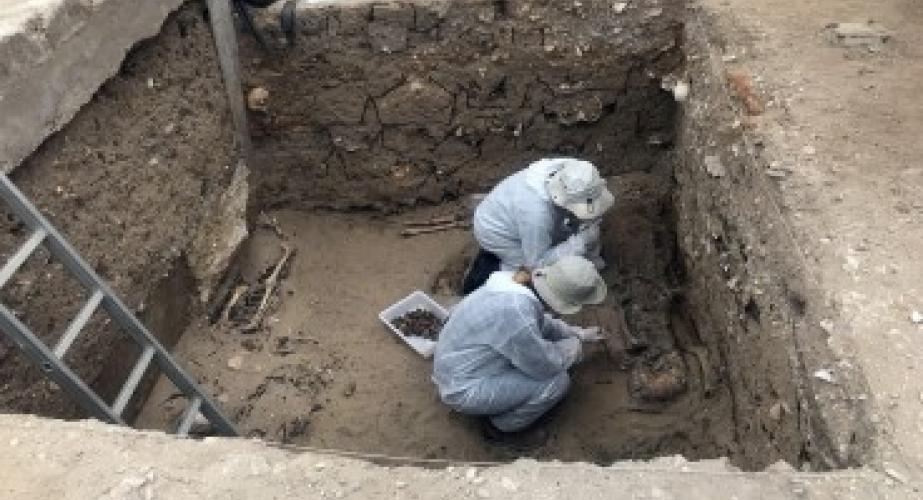 Comienza en el cementerio de Cádiz la quinta exhumación para localizar 24 sepulturas colectivas de la represión franquista