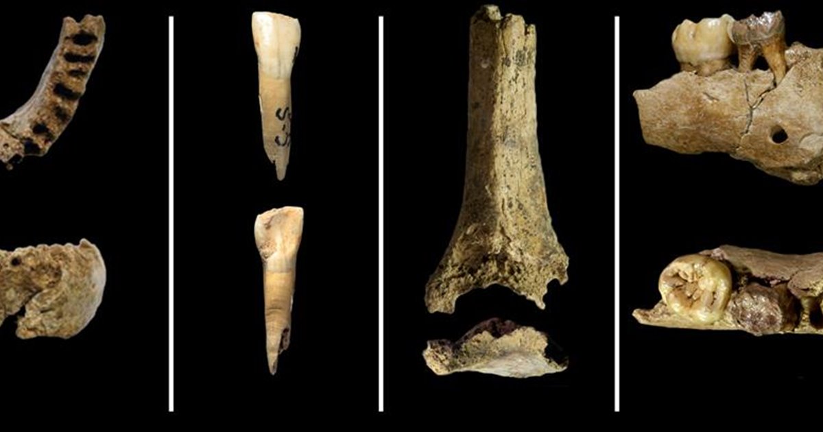 Los restos de neandertales de la Cova del Gegant (Sitges) tienen más de 59.000 años