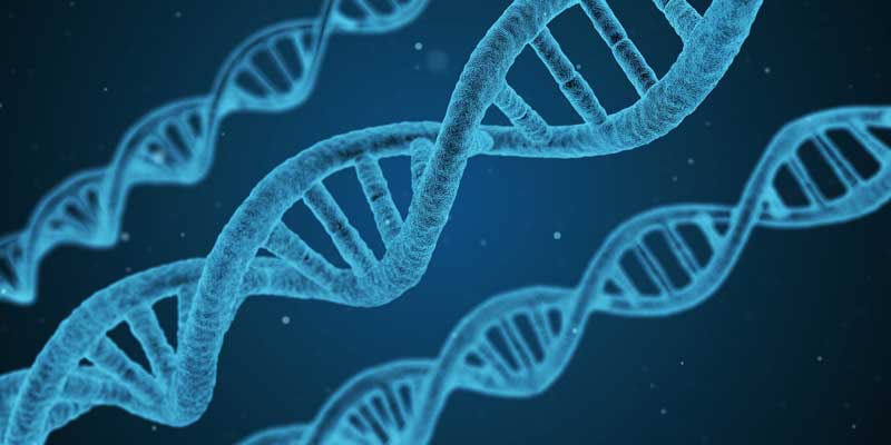 El genoma antiguo de cuatro niños confirma el complejo origen de la humanidad