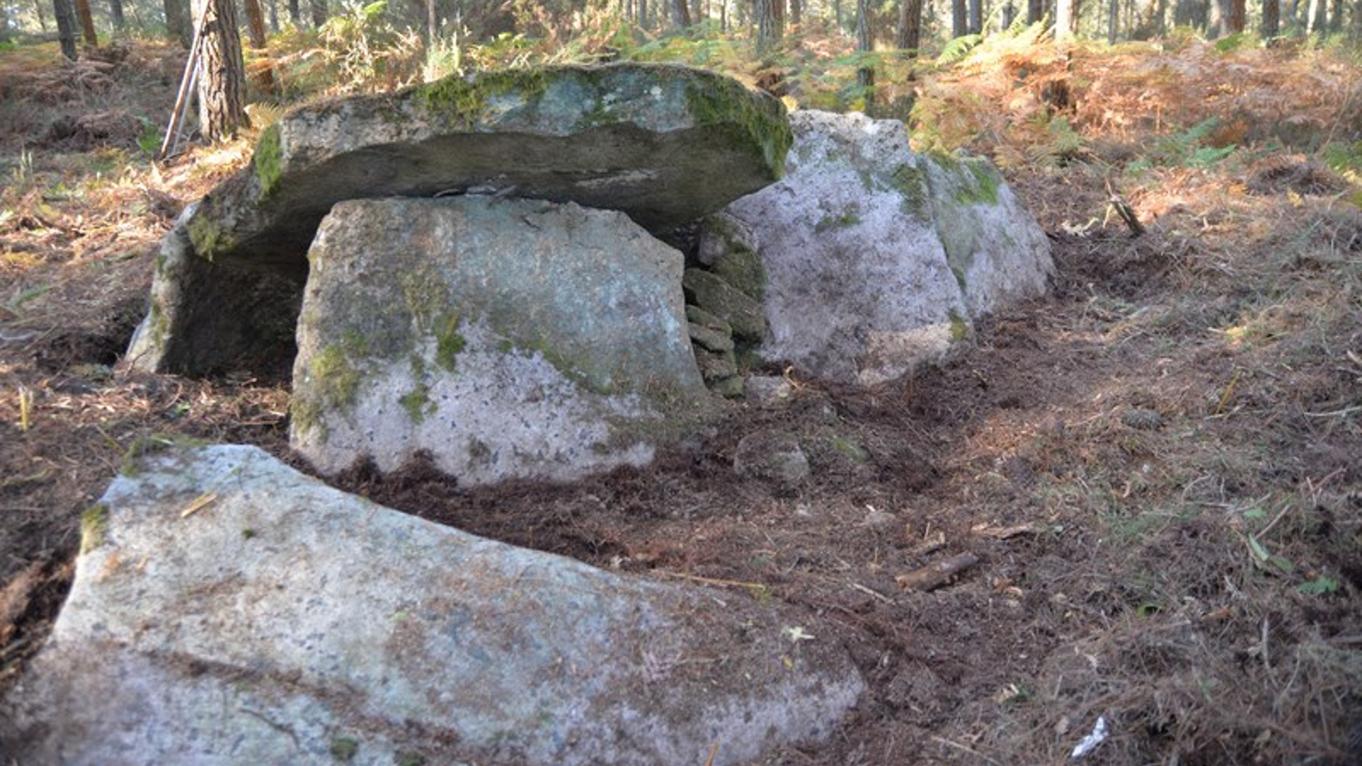 Descubren un nuevo dolmen excelentemente conservado en Friol (Lugo)