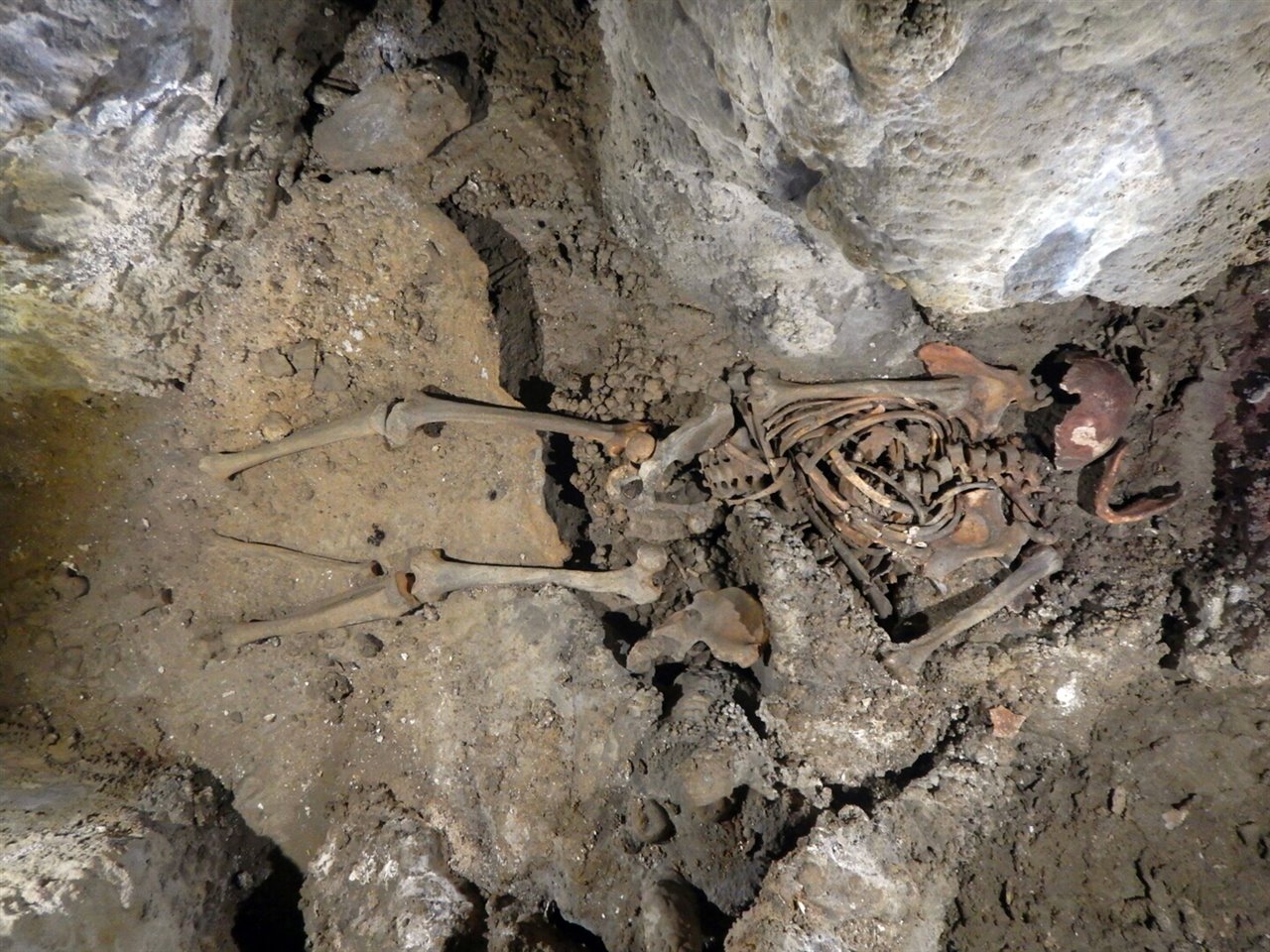 El testimonio funerario del 'Hombre de Loizu' en el XXXI Ciclo de Prehistoria de Puente Viesgo (Cantabria)