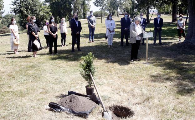 Roban el tejo plantado en memoria de las víctimas de la covid-19 en el cementerio de Ceares, en Gijón