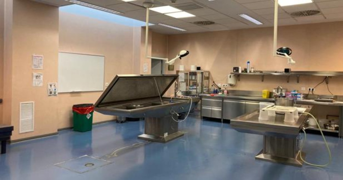 28 cuerpos de personas migrantes y extranjeras sin reclamar se acumulan en la morgue de Las Palmas